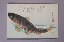 さかなつくし