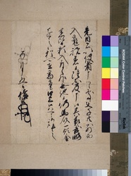 山梨県立博物館：収蔵資料検索